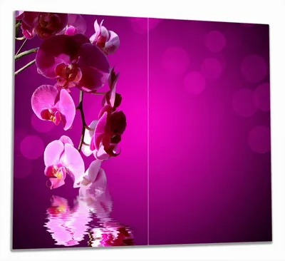 Produktbild von Wallario Herdabdeckplatte aus Glas, Größe 60 x 52 cm 2-teilig, Motiv Rosafarbene Orchidee  Blüten in pink