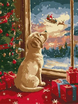 Image de Peinture par numéros - Chiot 30 x 40 cm - Ideyka