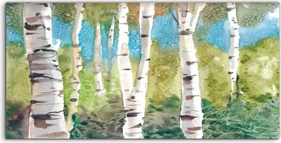 Produktbild von Coloray Spritzschutz aus Glas 100x50  Wandkunst Küchenrückwand Foto Bild Malerei Bäume bunte Birke