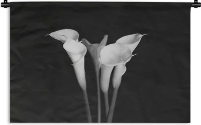 Produktbild von MuchoWow® Wandteppich Wandbehang Eine Nahaufnahme von Calla-Lilien-Blüten auf schwarzem Hintergrund 60x40 cm Tapisserie Dekoration Wandtuch - Wanddekorationen