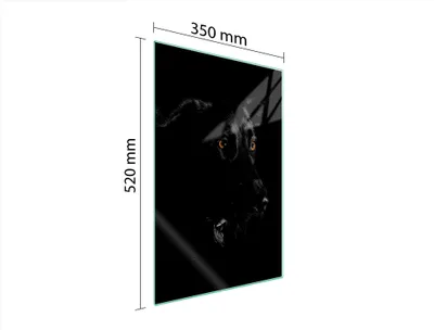 Produktbild von Herdabdeckplatte 35x52 Glaskeramikkochfeld Abdeckung Spritzschutz Glasplatte Deko Schneidebrett Hund Schwarz