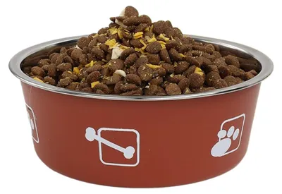 Immagine prodotto di Ciotole in acciaio inossidabile per gatti e cani, con capacità sufficiente