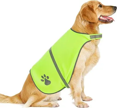 Immagine prodotto di Collare riflettente per cani - Gilet di sicurezza verde chiaro - Cappottino regolabile per cani per attività all'aperto - Passeggiate al buio