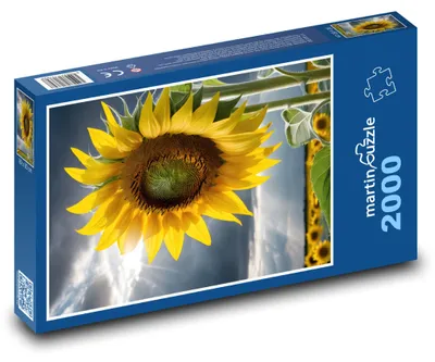 Obrázok produktu pre martinpuzzle - Puzzle 2000 - Žlté slnecnice