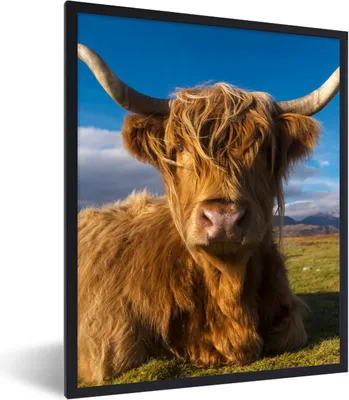 Produktbild von MuchoWow® Gerahmtes Poster Schottische Highlander - Tiere - Gras 60x80 cm - Poster mit Schwarzem Bilderrahmen Wandposter Rahmen Foto Bilder - Premium - Wanddeko Wohnzimmer