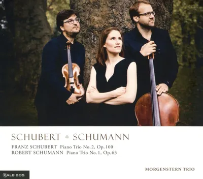 Obrázok produktu pre Franz Schubert (1797-1828): D.929 - - (CD / K)