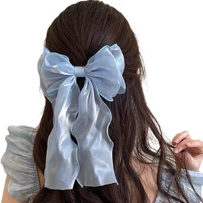 Image de Barrette française bleue pour femme