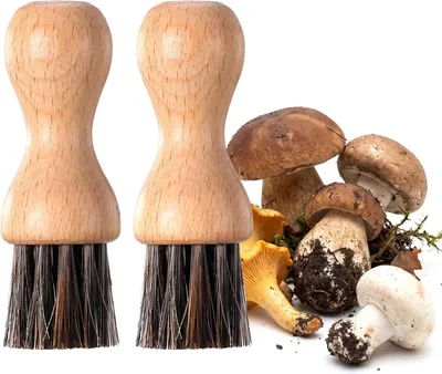 Produktbild von 2 Stück Gemüsebürsten aus Buchenholz und Rosshaar für Geschirr, Töpfe und Pfannen