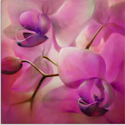 Produktbild von ARTland Glasbild Orchideen pink Größe: 30x30 cm