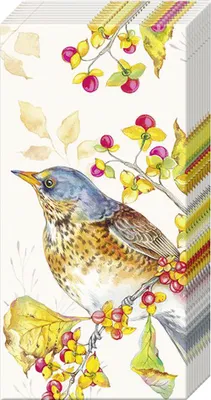 Produktbild von Papiertaschentücher "Autumn Birds"