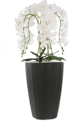 Obrázek produktu pro Umělá bílá orchidej v květináči kytice květů H 95 cm antracitový čtvercový květináč