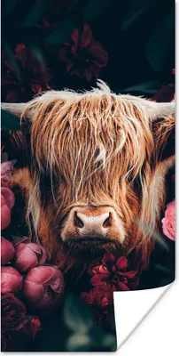 Produktbild von MuchoWow® Poster Kuh - Schottischer Highlander - Blumen - Botanisch 20x40 cm - Plakat - Foto