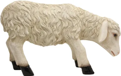 Produktbild von FADEDA Schaf   / Höhe:33 cm / handbemalt / detailgetreue Krippen Figuren - Weihnachten Tisch Dekoration Krippe Zubehör