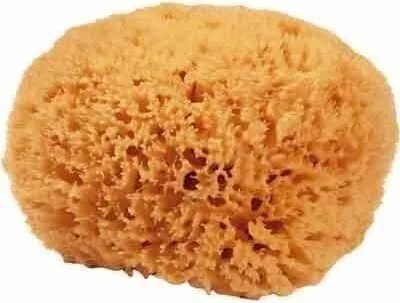 Produktbild von Naturschwamm Grass 18-20, ca. 18-20 cm