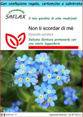 Immagine prodotto di SAFLAX Set regalo - Non ti scordar di mé - 150 semi - Myosotis