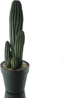 Produktbild von DPI Kakteengruppe im Kunststofftopf 40 cm - Kunstblumen