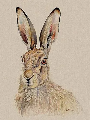 Leinwanddruck Tilly, mehrfarbig, 60 x 80 cm