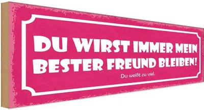 Produktbild von vianmo Holzschild 10x27 cm du immer mein bester Freund Familie Freunde