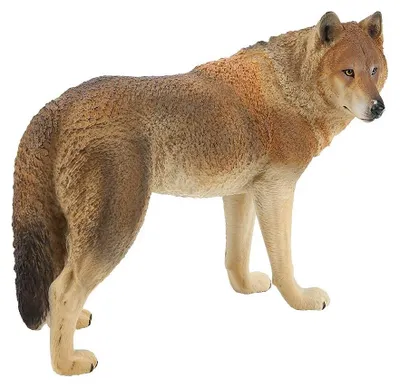 Image de Miniature de loup pour jouets éducatifs