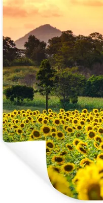 Obrázok produktu pre MuchoWow® Nálepka na stenu - Slnečnica - Príroda - Hory - 60x120cm - Samolepiaca a polohovateľná