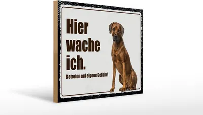 Produktbild von Holzschild Hinweis Rodhesian Ridgeback hier wache ich eigene Gefahr, 40 x 30 cm, Holzschilder Tiere Achtung