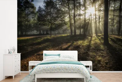 Produktbild von MuchoWow® Fototapete für Wohnzimmer oder Schlafzimmer Wandtapete Vinyl Motivtapete Wald - Sonne - Nebel - 525x350 cm - Das Hintergrundbild