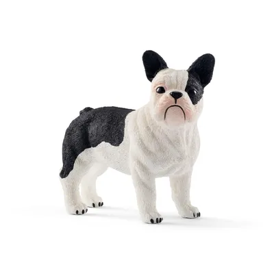 Produktbild von SCHLEICH Französische Bulldogge 0 0 0