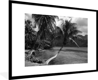 Produktbild von MuchoWow® MuchoWow® Gerahmtes Poster Palmen am Strand von Mo'orea in Schwarz und Weiß 90x60 cm - Poster mit zchwarzem Bilderrahmen - Wanddekoration - Fotos
