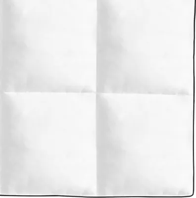 Produktbild von "Winter Sale" Winter-Daunendecke 200x200cm - clorisNeu262925 - Bettwäschen