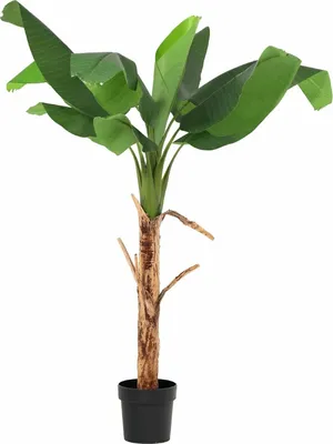 Produktbild von Bananenpflanze Musa Kunstpflanze 150cm Tropische Deko Pflanze Pflegefreie