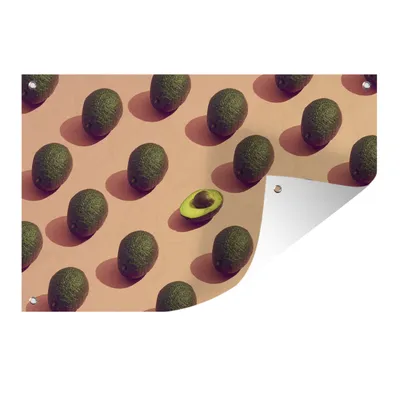 Obrázek produktu pro MuchoWow® Zahradní plakáty - Vzor avokáda na broskvovém pozadí - 60x90 cm - Zahradní dekorace