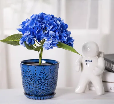 Image de 15 cm Pots de fleurs - set de 2, Pots de plantes en céramique avec trou de drainage et soucoupe pour plantes d'intérieur et d'extérieur, grand pot de jardin rond pour plantes succulentes - bleu
