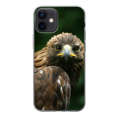 Produktbild von MuchoWow® Handyhülle Schutzhülle Hülle für iPhone 12 Adler - Braun - Raubvogel Silikon Softcase Handy Hülle - Schutzhülle