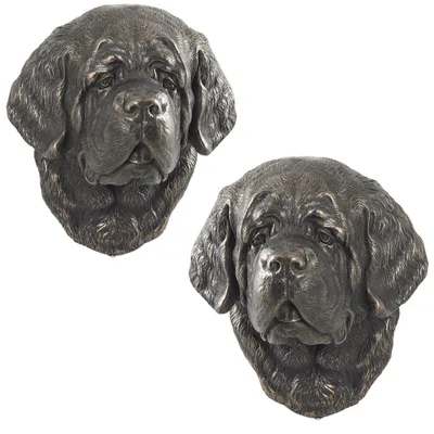Productafbeelding van Art-Dog Wandbuste – Sint-bernard – gegoten uit bronspoeder en hars