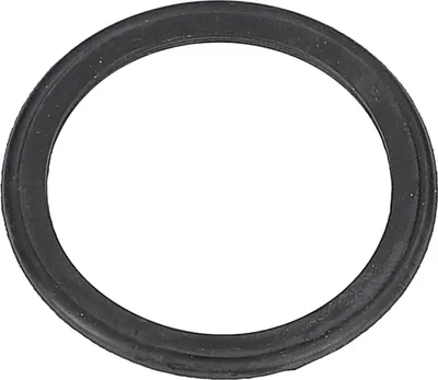 Produktbild von easyPART passend für 126061601/4 Electrolux NEU Flusensieb Dichtung Sieb 55mmØ Waschmaschine 1260616014