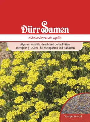 Produktbild von Steinkraut gelb | Steinkrautsamen von Dürr Samen