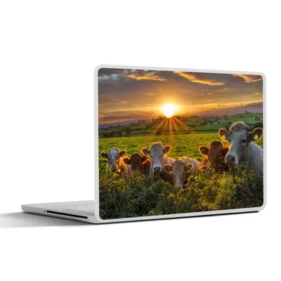 Produktbild von MuchoWow® Laptop Aufkleber Sticker Cover Kühe in Irland 30x21 cm - Sticker für Laptop - Selbstklebend