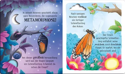 Obrázek produktu pro Schau mal, wie ich wachse! Von der Raupe zum Schmetterling