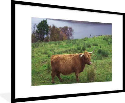 Produktbild von MuchoWow® Gerahmtes Poster Schottische Highlander - Gras - Wasser - Tiere 90x60 cm - Poster mit Schwarzem Bilderrahmen Wandposter Rahmen Foto Bilder - Wanddekoration - Fotos