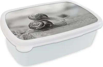 Obrázok produktu pre KitchenYeah® Lunchbox Box na obed 17x11 cm Slimák stopuje iného slimáka - čiernobiely Detský box na obed - Box na obed - Deti - Sendvičový box - Školský box - Obedové boxy