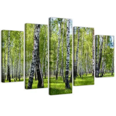 Produktbild von 5-teiliges leinwandbild birken 100x70 cm Feeby grün wandbild bereit zum aufhängen