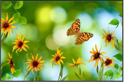 Produktbild von Wallario Wandbild Blumen mit Schmetterling, Größe: 61 x 91,50 cm, Poster mit schwarzem Aluminiumrahmen