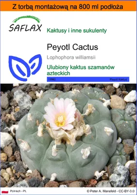Zdjęcie produktu dla SAFLAX - Garden in the bag - Peyotl Cactus - 20 Nasiona - Z podłożem uprawowym w praktycznej, samorozkładającej się torbie - Lophophora williamsii