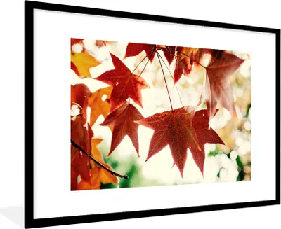 Produktbild von MuchoWow® Gerahmtes Poster Herbstblätter - November - Natur - Bäume 90x60 cm - Poster mit Schwarzem Bilderrahmen Wandposter Rahmen Foto Bilder - Wanddekoration - Fotos