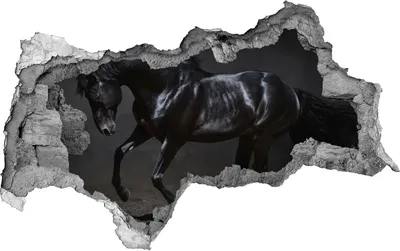 Produktbild von Selbstklebender Loch-3D-Aufkleber 95x73 cm schwarzes Pferd
