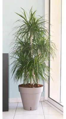 Produktbild von RIVIERA Loft Blumentopf mit Wasserreservoir – Rund – Ø 50 x H 46 cm – Taupe
