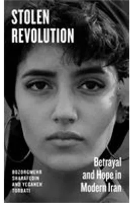 Immagine prodotto di Stolen Revolution