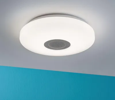 Zdjęcie produktu dla Paulmann WallCeiling Accento, lampa sufitowa/ścienna LED, IP44, 22W, 340mm, biała, 230V, wykonana z tworzywa sztucznego