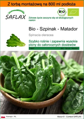 Zdjęcie produktu dla SAFLAX - Garden in the bag - Bio - Szpinak - Matador - 300 Nasiona - Z podłożem uprawowym w praktycznej, samorozkładającej się torbie - Spinacia oleracea