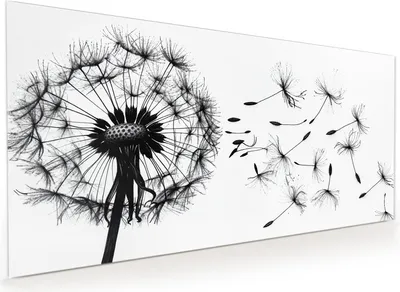 Produktbild von Küchenrückwand Spritzschutz Glas mit Motiv Pusteblume 40 x 40 cm